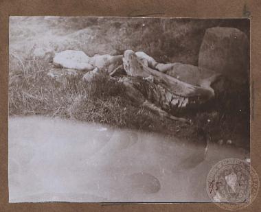 Περιοχή εκτέλεσης αμάχων.