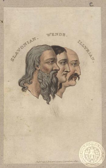 Slavonian. Wende. Illyrian.