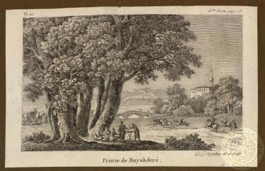 Prairie de Βúyúk Deré