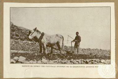 Χωρικός εκ Σέρβου της Γορτυνίας με το πρωτόγονον άροτρόν του.