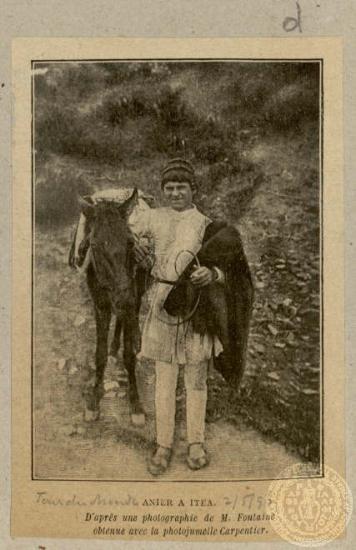 Anier a Itea. D' après une photographie de M. Fontaine abtenue avec la photojumelle Carpentier.