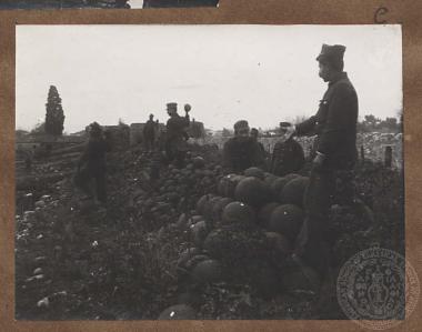 Βλήματα πυροβόλων.