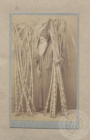 Σκηνή καθημερινής ζωής, πιθανότατα της Αιγύπτου: άνδρας με ξύλα/καλάμια σε φωτογραφία της εποχής.