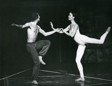 The Magic Flute [Die Zauberflöte] (115741)