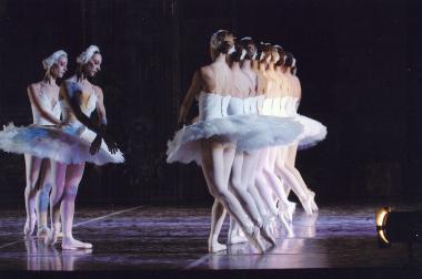 Η λίμνη των κύκνων [Лебединое озеро] (116027)