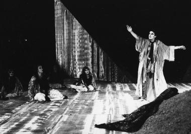 The Libation Bearers (117356)