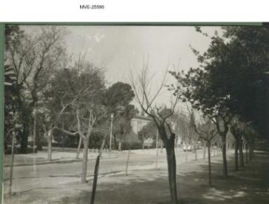 Η Αθήνα του '65 - '70 - Ζάππειο