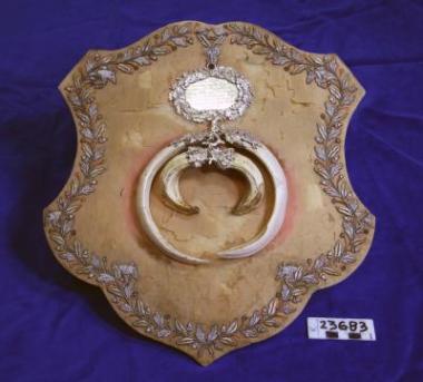 ΤΡΟΠΑΙΟ ΚΥΝΗΓΙΟΥ