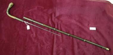 Μπαστουνι με ξιφιδιο