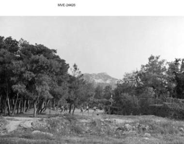 Η Αθήνα του '65 - '70 -  Πιθανά το Πεδίο του Άρεως