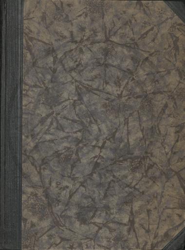 Die kretisch mykenische kultur