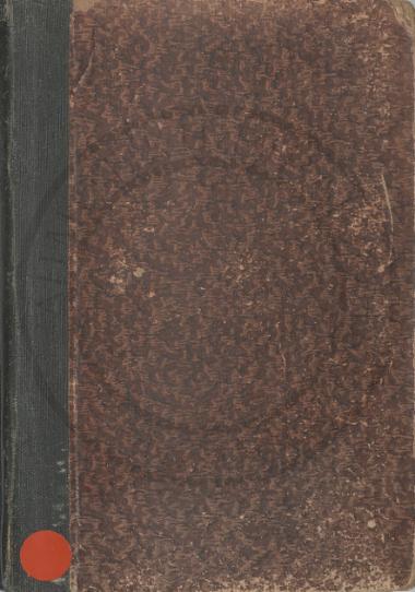 Ο άνθρωπος εν τη δημιουργία