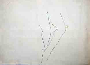 Μελέτη για στάση ποδιών