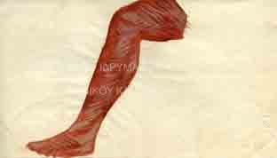 Πόδι, μελέτη για τοιχογραφία στην αίθουσα τελετών της Παντείου