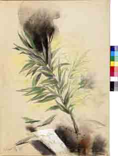 Μνήμα/τάφος [ελιά]