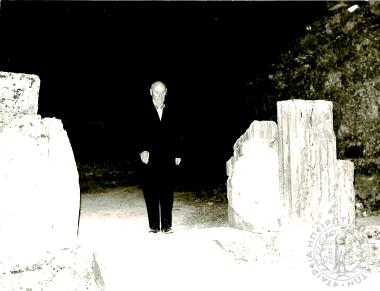 Δωδωναία (Εικόνα 11)