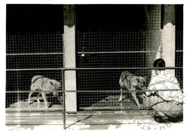 Ζωολογικός κήπος Ε.Η.Μ. (Εικόνα 7)