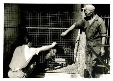 Ζωολογικός κήπος Ε.Η.Μ. (Εικόνα 8)