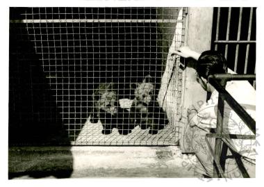 Ζωολογικός κήπος Ε.Η.Μ. (Εικόνα 9)