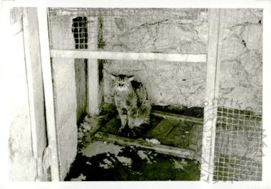 Ζωολογικός κήπος Ε.Η.Μ. (Εικόνα 10)