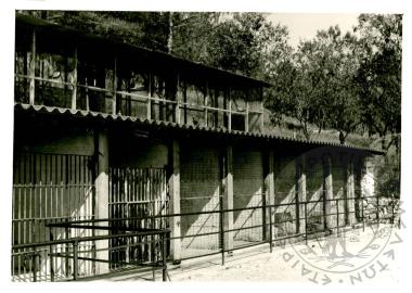 Ζωολογικός κήπος Ε.Η.Μ. (Εικόνα 20)