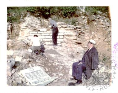 Μνημείο Σούλι - Μονοδένδρι  (Εικόνα 1)