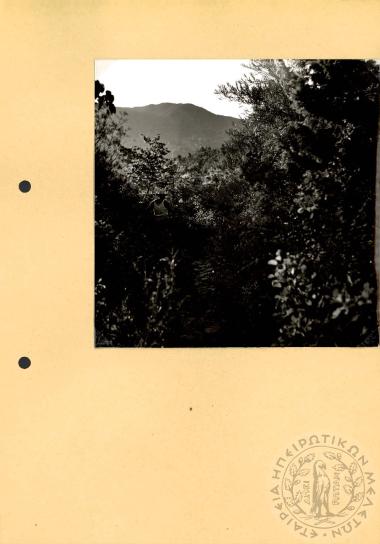 Ηπειρωτική Αρχιτεκτονική (Εικόνα 412)