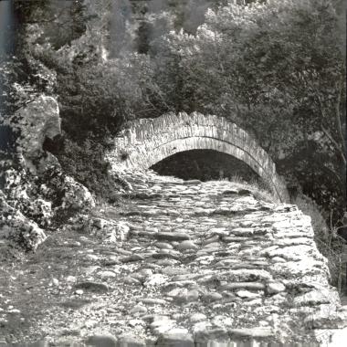 Ηπειρωτικά γεφύρια (Εικόνα 102)