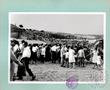 Δωδωναία (Εικόνα 52)