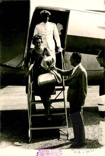 Δωδωναία (Εικόνα 86)