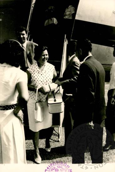 Δωδωναία (Εικόνα 87)