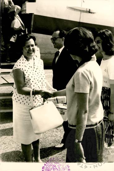 Δωδωναία (Εικόνα 88)