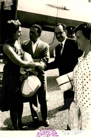 Δωδωναία (Εικόνα 90)