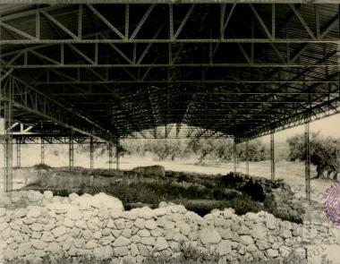 Συλλογή από διάφορες φωτογραφίες (Εικόνα 51)