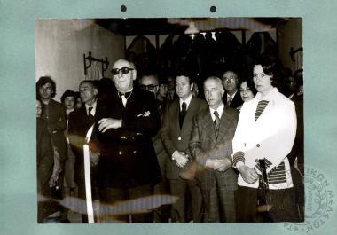 Οργανωτική ζωή Ε.Η.Μ.(Εικόνα 102)