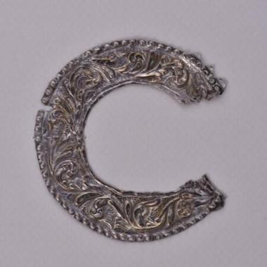 Πάμφυλλο (φωτοστέφανο;)