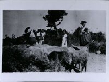 Ομάδα ανθρώπων, πιθανόν κατά τη διάρκεια εκδρομής