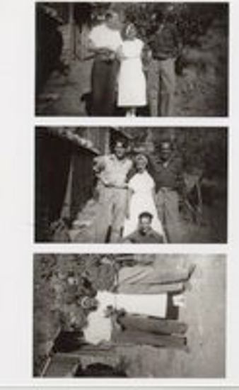 Χανς Ερενστώλε