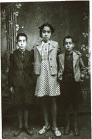 Οικογένεια Φεφέ