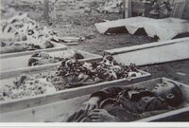 Digital Collection of the Municipal Museum of the Kalavritan Holocaust
