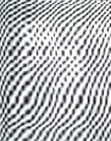 Ο εκτελεσθείς Χαμακιώτης Κωνσταντίνος του Δημητρίου