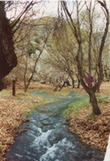 Αροάνιος ποταμός