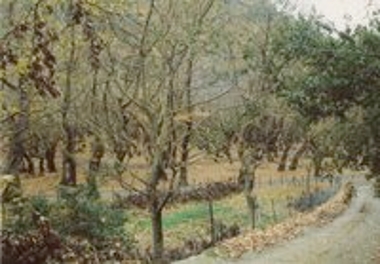 Αροάνιος ποταμός