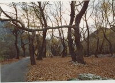 Αροάνιος ποταμός