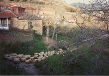 Κερπινή Αχαΐας