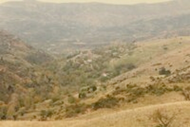 Ρωγοί Καλαβρύτων