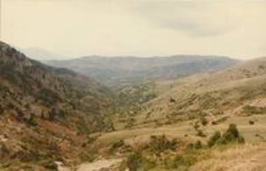 Ρωγοί Καλαβρύτων