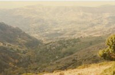 Ρωγοί Καλαβρύτων