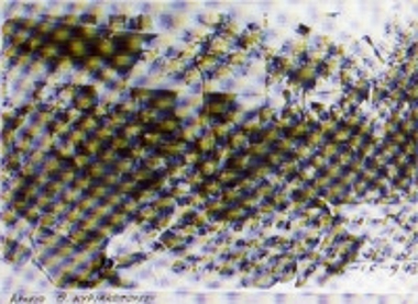 Οι Γερμανοί αιχμάλωτοι της μάχης της Κερπινής