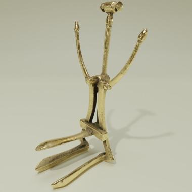 The vaginal speculum (colposcope)